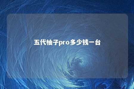 五代柚子pro多少钱一台